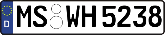 MS-WH5238