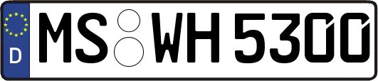 MS-WH5300