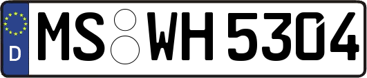MS-WH5304