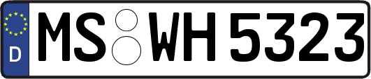 MS-WH5323