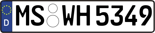 MS-WH5349