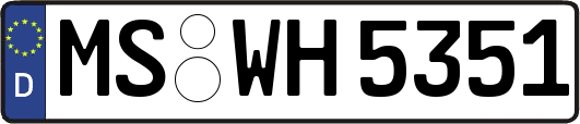 MS-WH5351