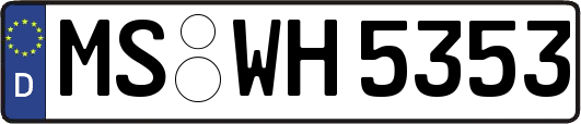 MS-WH5353