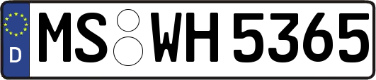MS-WH5365