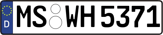 MS-WH5371