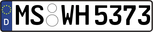 MS-WH5373