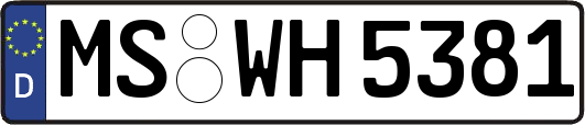 MS-WH5381