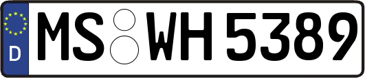 MS-WH5389