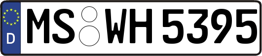 MS-WH5395
