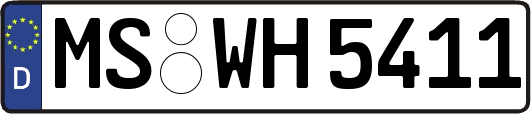 MS-WH5411