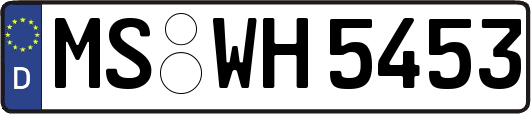 MS-WH5453