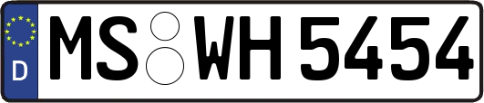 MS-WH5454