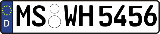 MS-WH5456