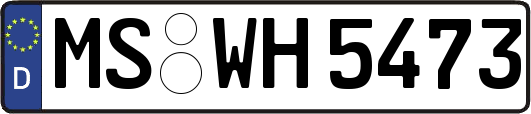 MS-WH5473