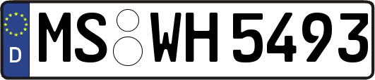 MS-WH5493