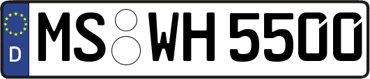MS-WH5500