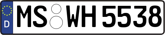 MS-WH5538