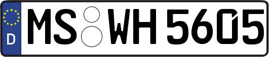 MS-WH5605