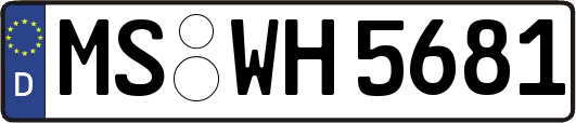 MS-WH5681