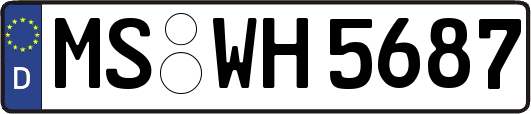 MS-WH5687
