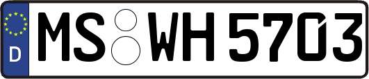 MS-WH5703