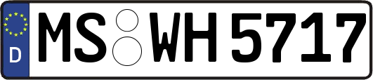 MS-WH5717