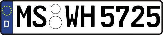 MS-WH5725