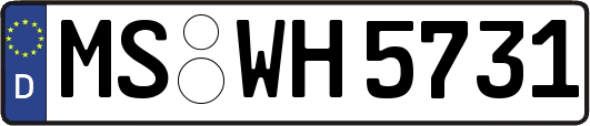 MS-WH5731