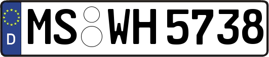 MS-WH5738
