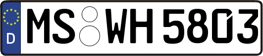 MS-WH5803
