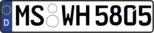 MS-WH5805
