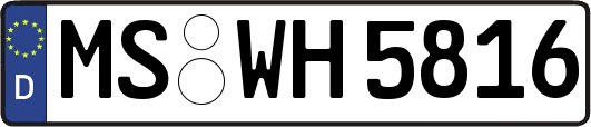 MS-WH5816