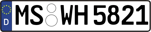 MS-WH5821