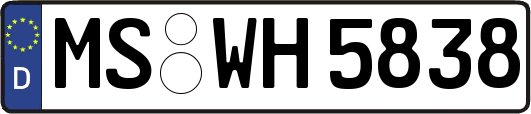 MS-WH5838
