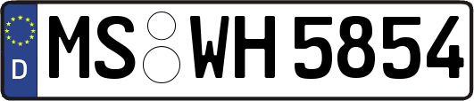 MS-WH5854