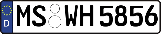 MS-WH5856