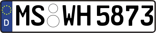 MS-WH5873