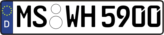 MS-WH5900