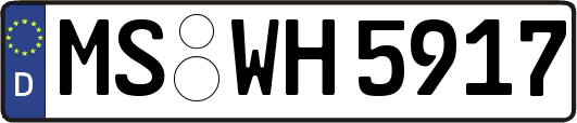 MS-WH5917