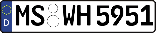 MS-WH5951