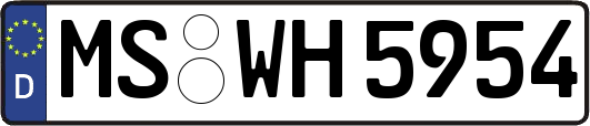 MS-WH5954