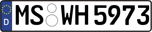 MS-WH5973
