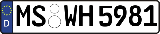 MS-WH5981