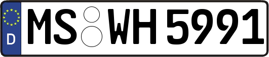 MS-WH5991