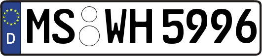 MS-WH5996