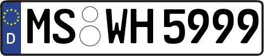 MS-WH5999