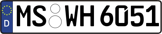 MS-WH6051