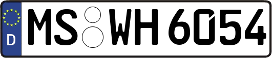 MS-WH6054