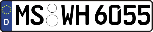 MS-WH6055