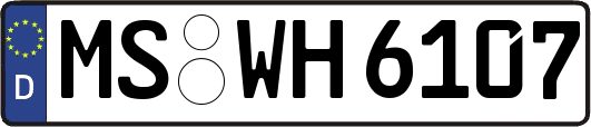 MS-WH6107